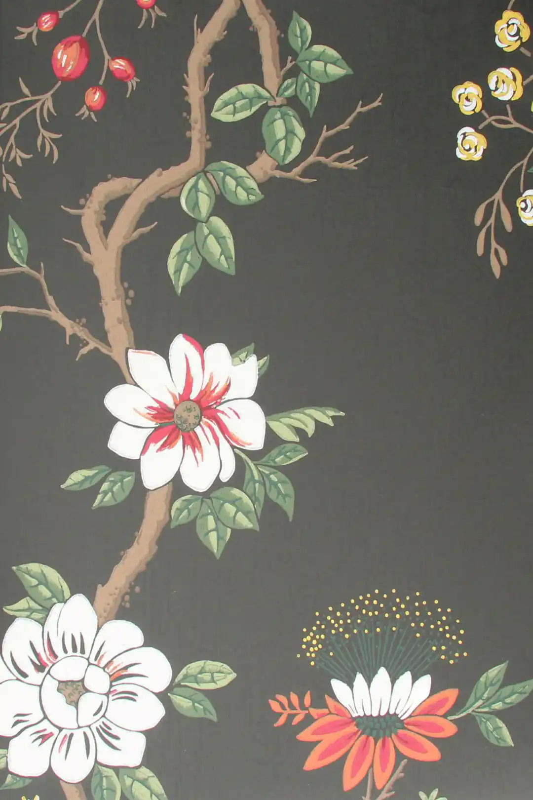 Carta da parati Camellia~Camellia Japonica Nero Cole & Son