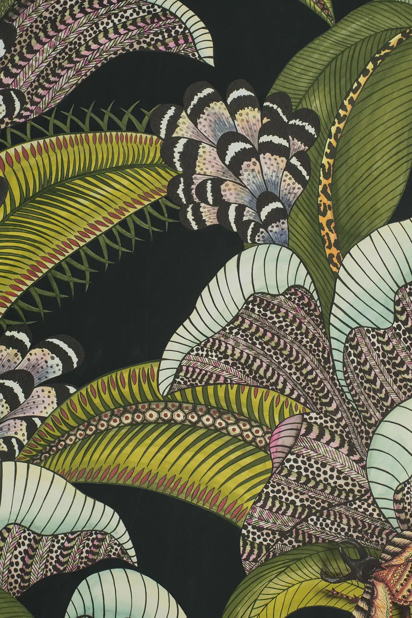Carta da parati Hoopoe Leaves Nero Cole & Son