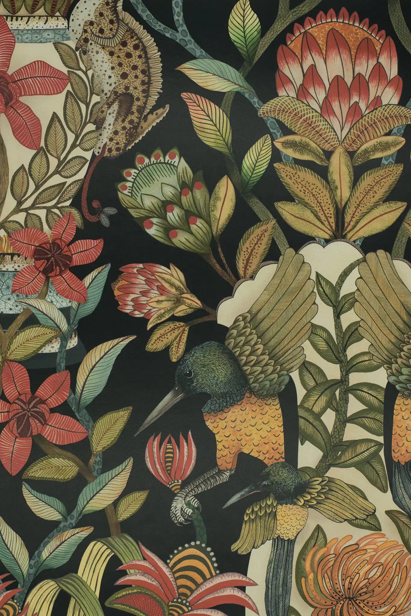 Carta da parati Protea Garden Nero Cole & Son