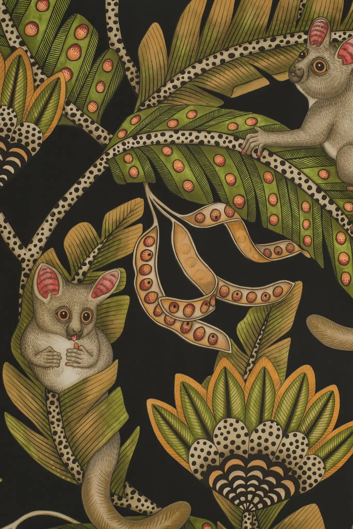 Carta da parati Bush baby Notte Cole & Son