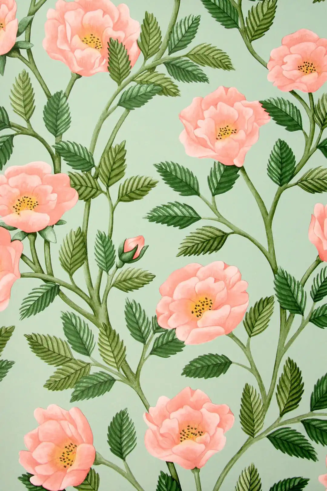 Carta da parati Hampton Roses Rosa Cole & Son