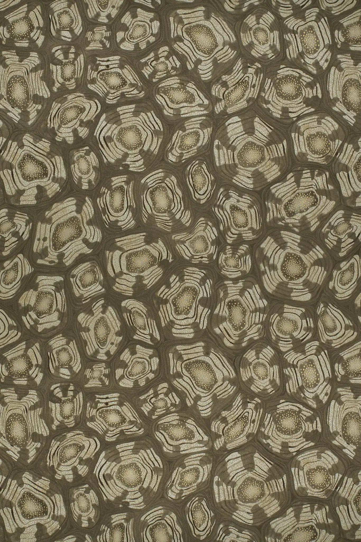 Carta da parati Savanna Shell Verde/Grigio Cole & Son