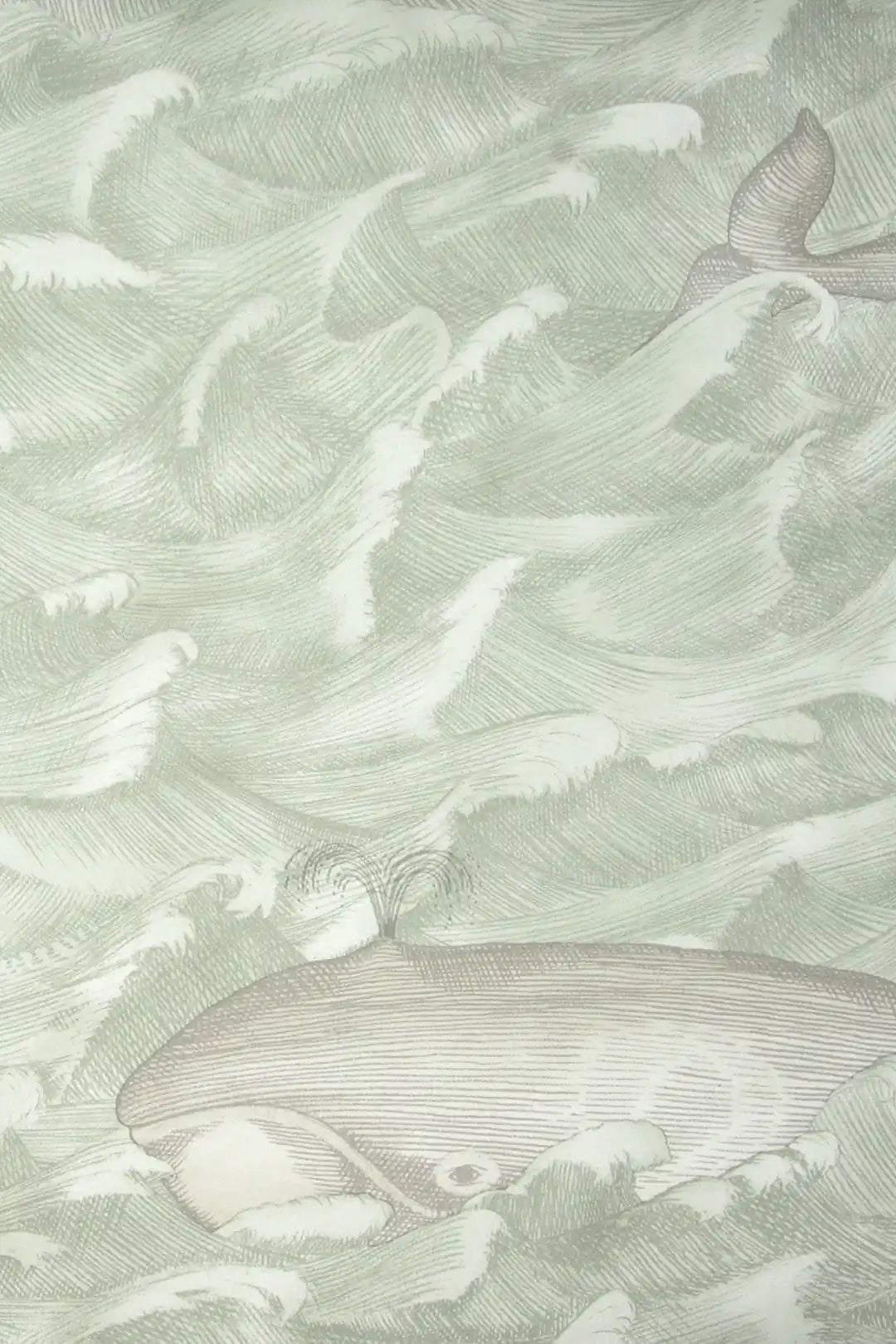 Carta da parati Melville Verde Cole & Son