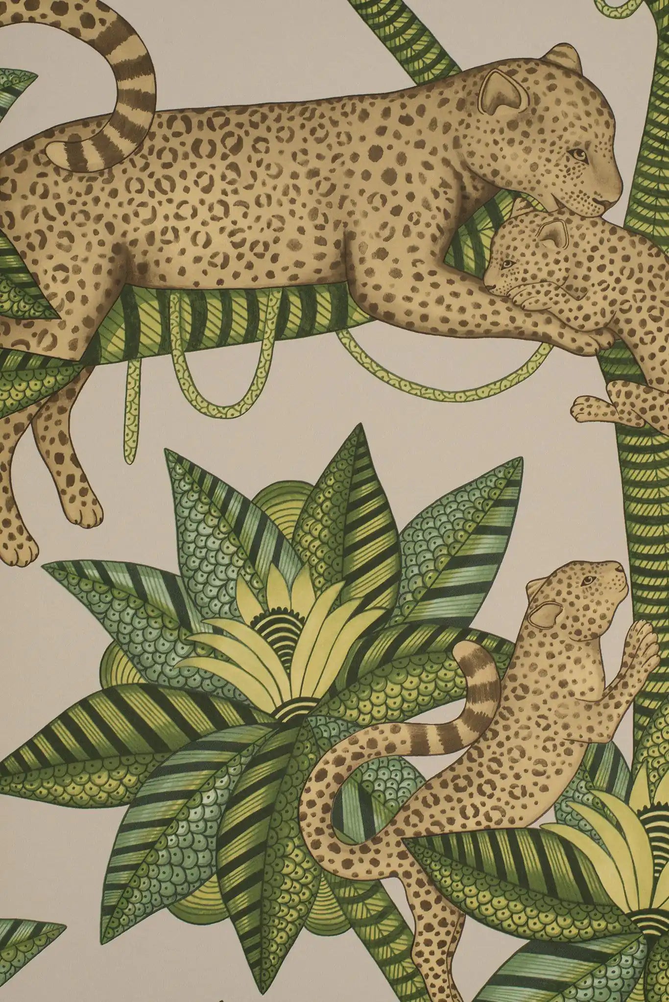 Carta da parati Satara Verde Cole & Son