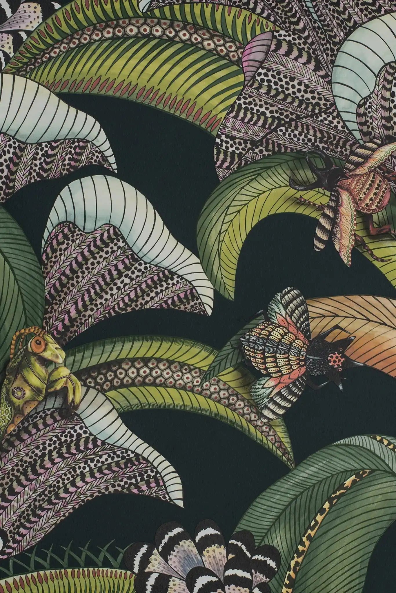 Carta da parati Hoopoe Leaves Verde scuro Cole & Son