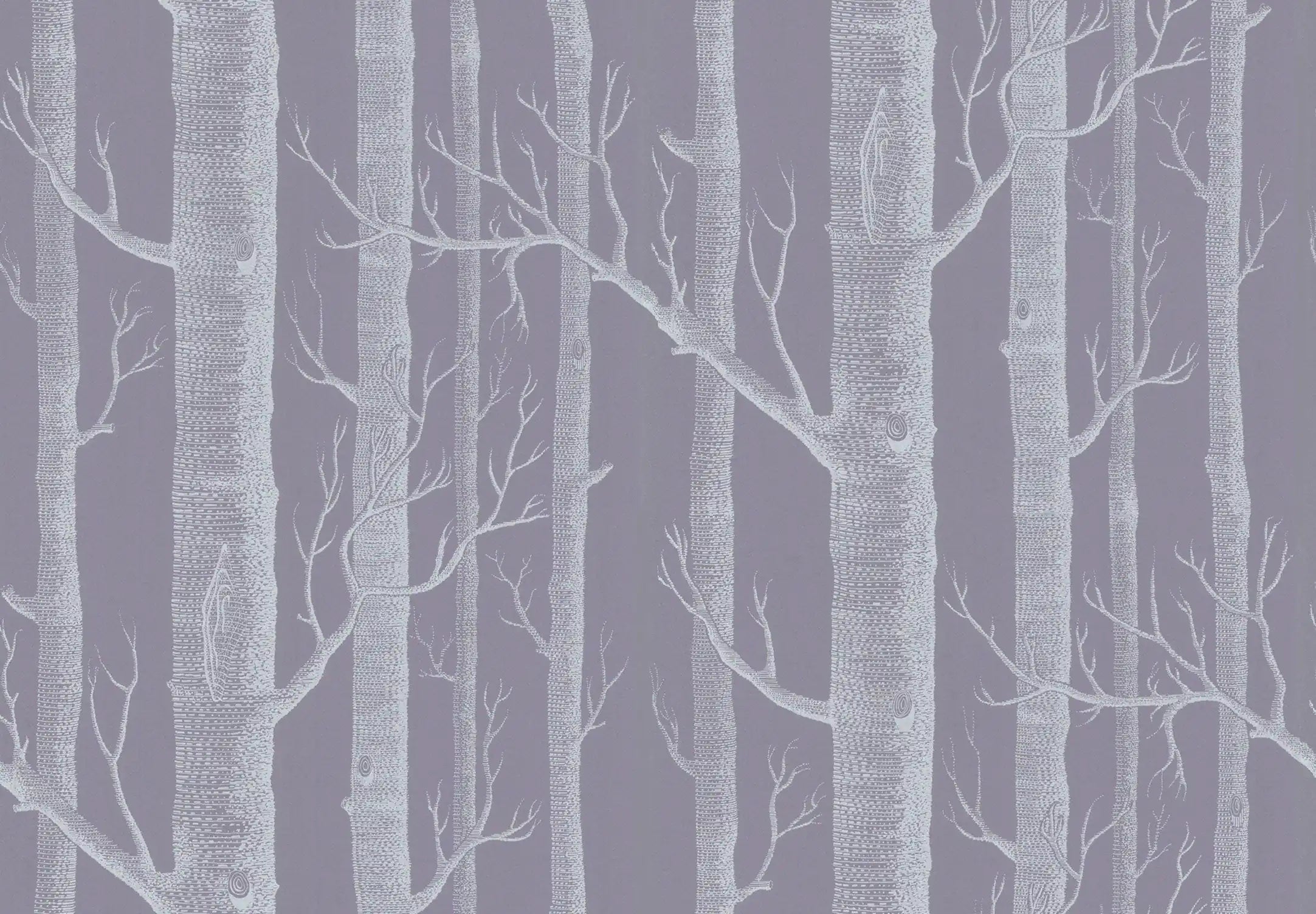 Carta da parati Woods Viola Cole & Son