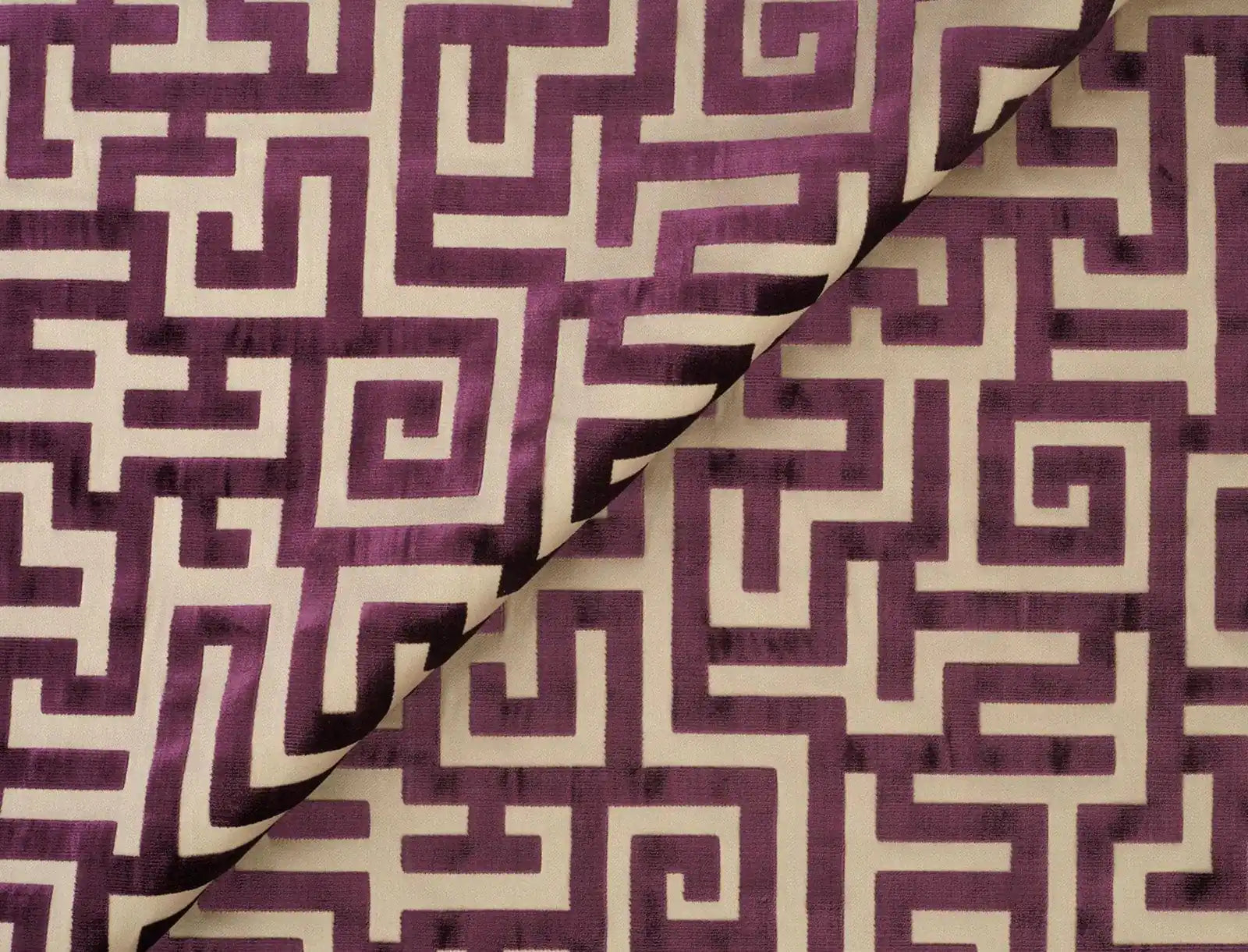 apollon aubergine
