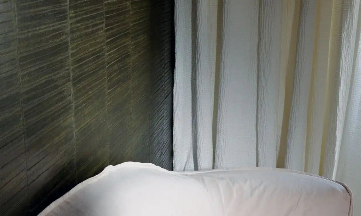 anguille