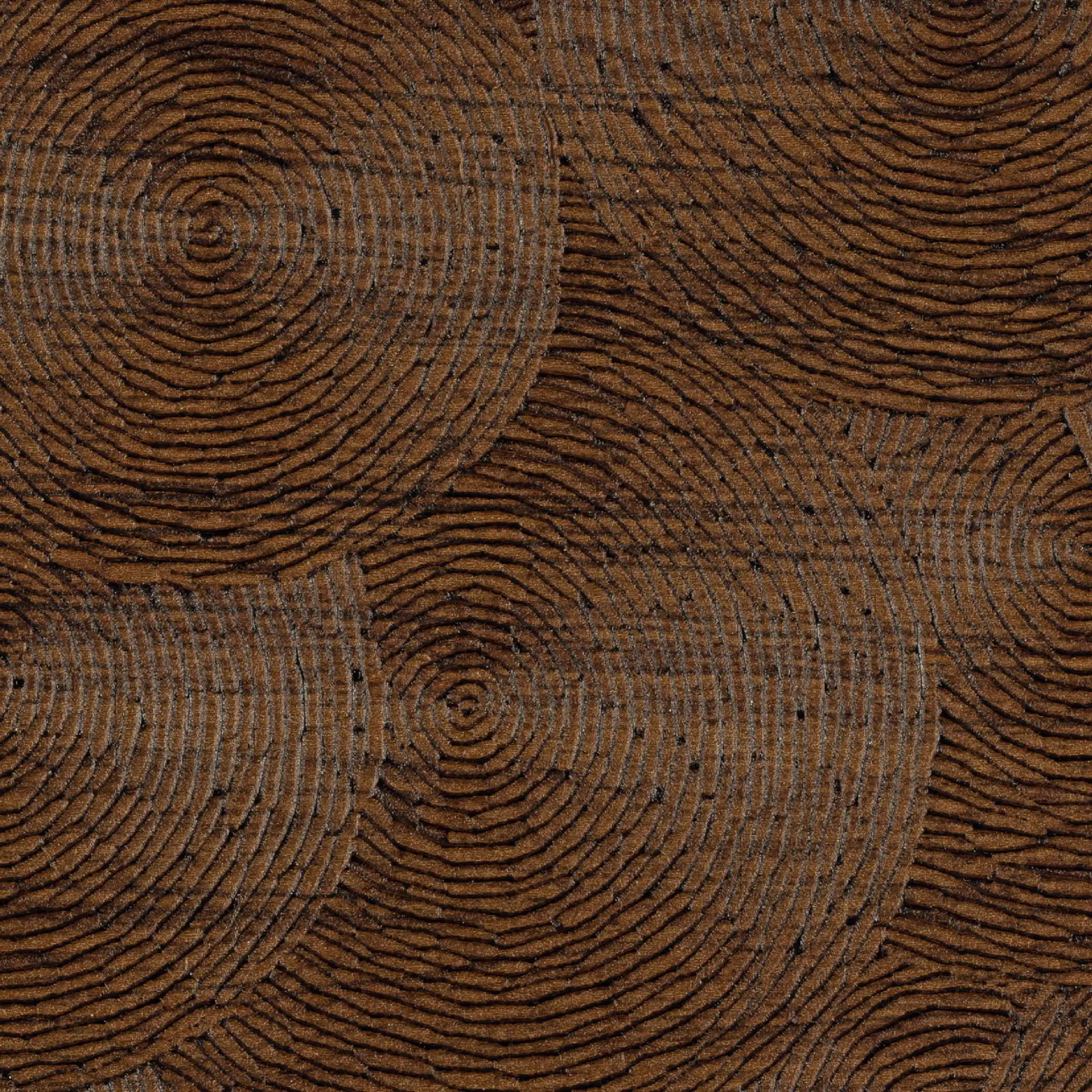 volute