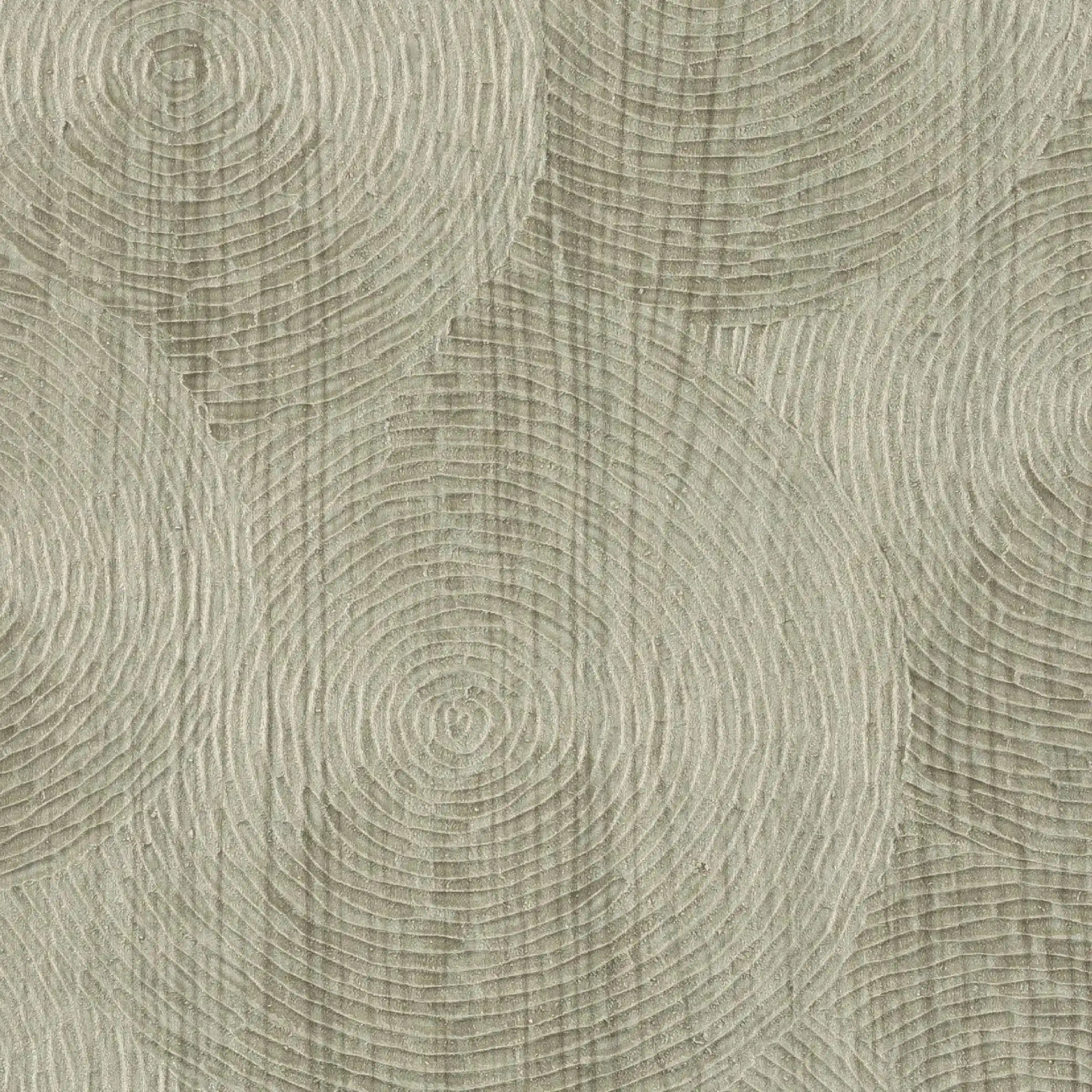 volute