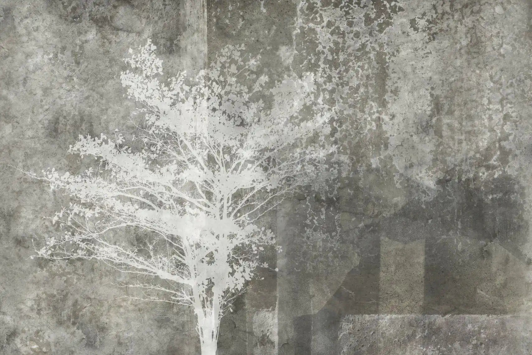 tree dark