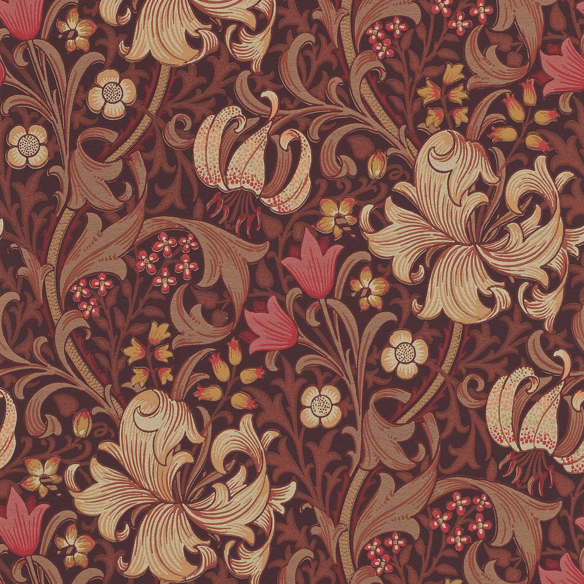 Golden Lily