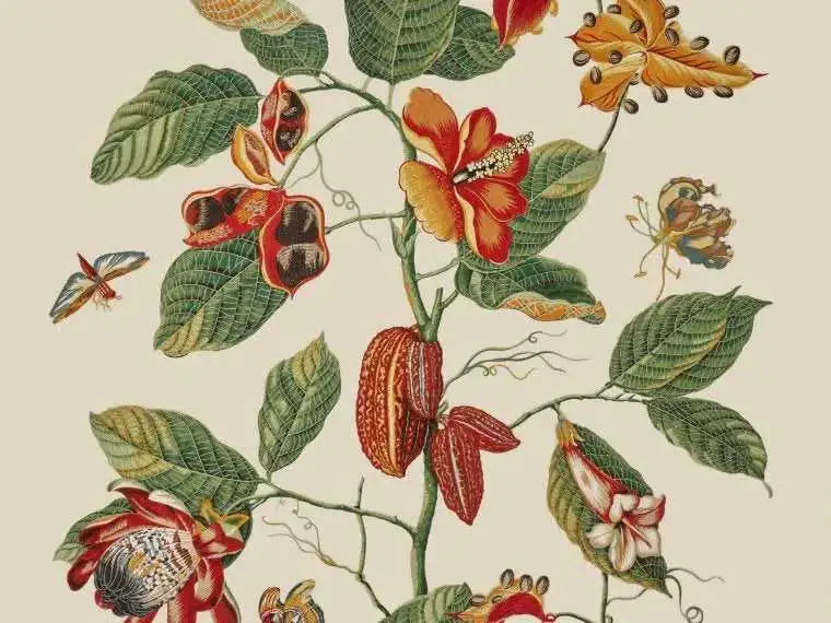 Pierre Frey NAKAI BRODERIE Deco Interni