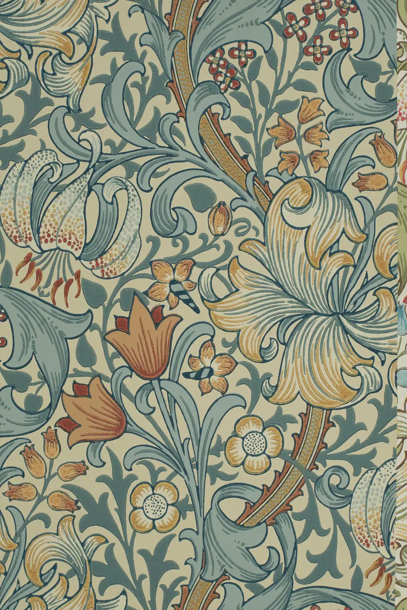 golden lily slate/manilla