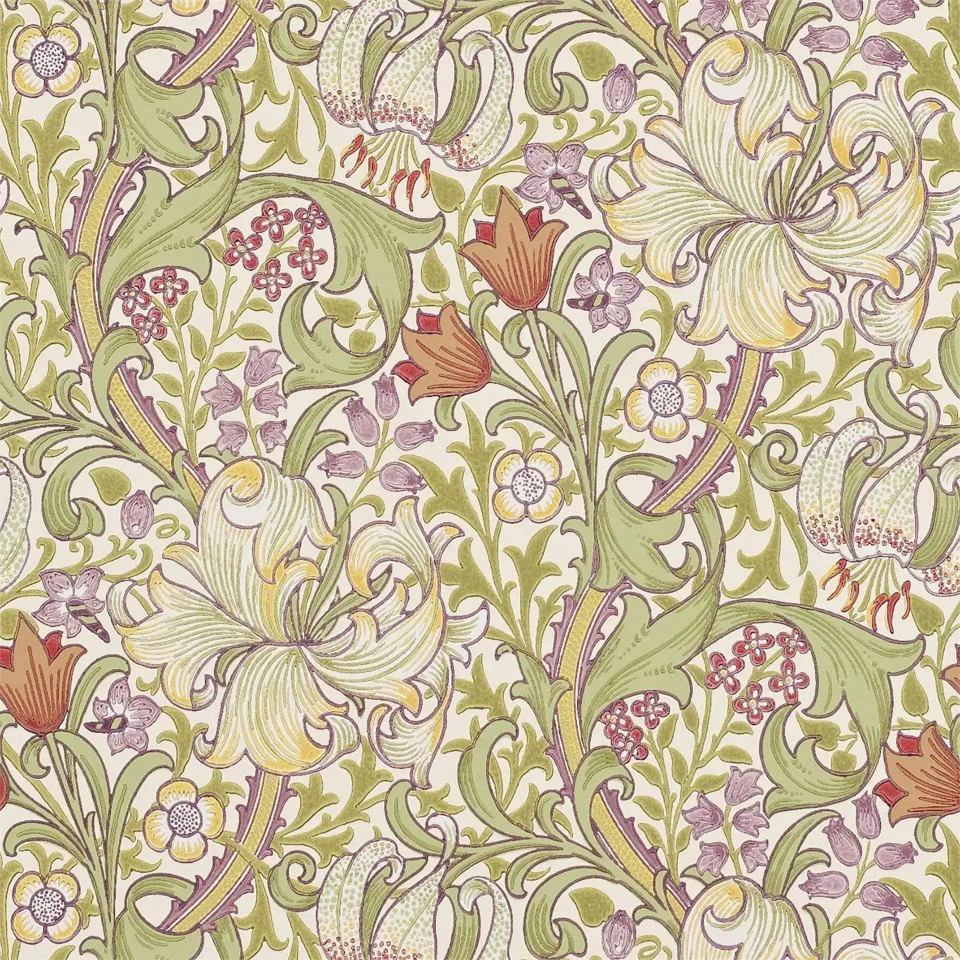 golden lily olive/russet