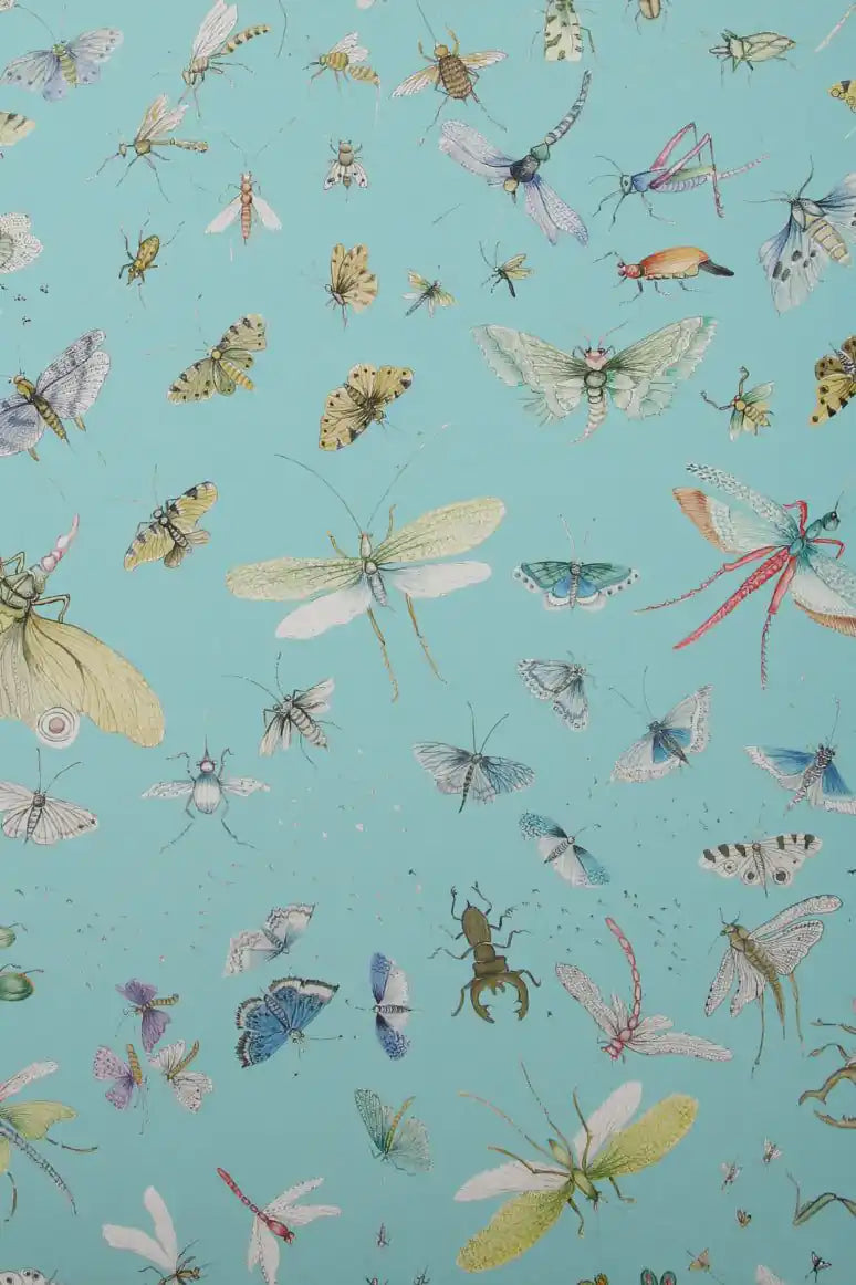 la serre aux papillon ete'