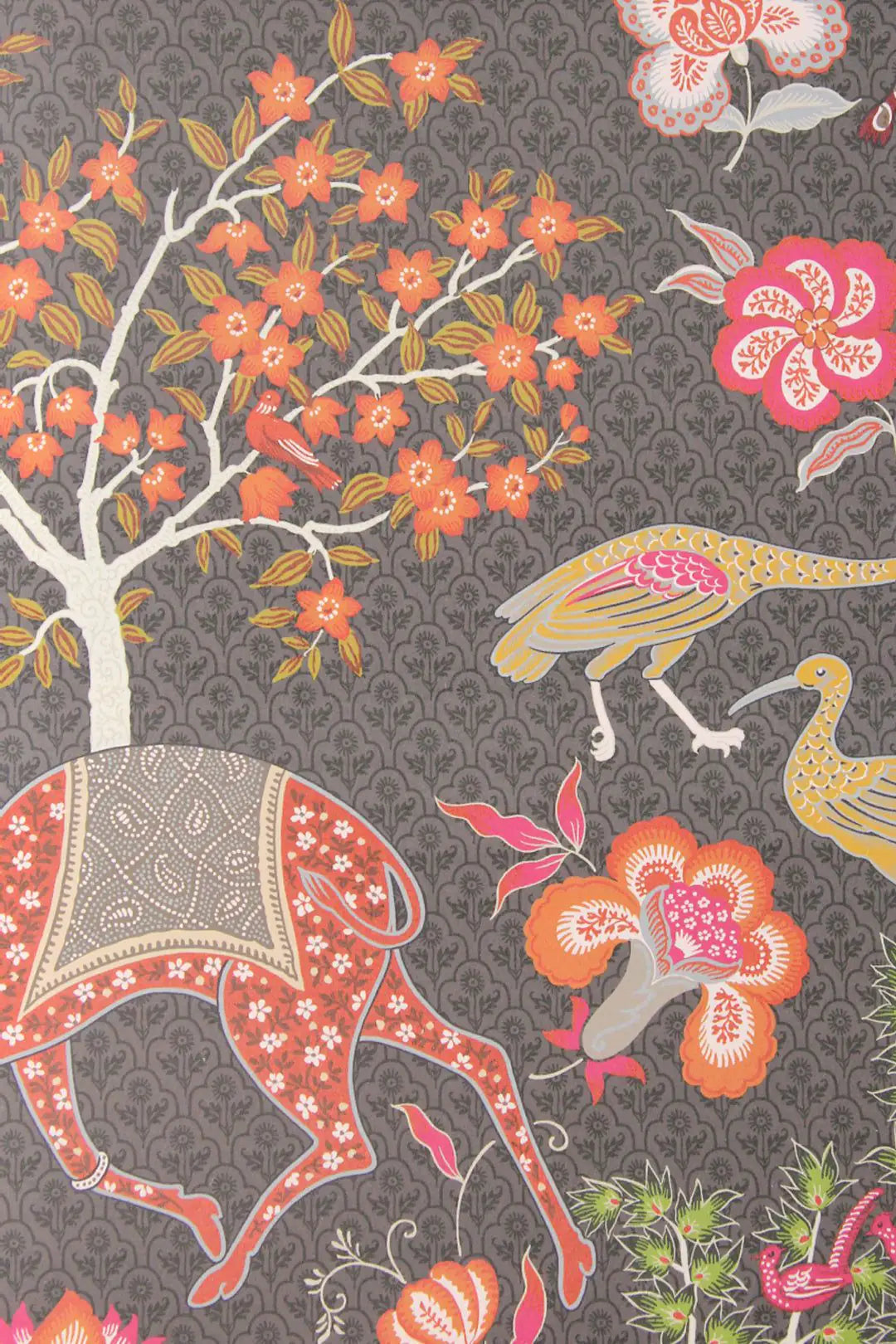 jardin de mysore
