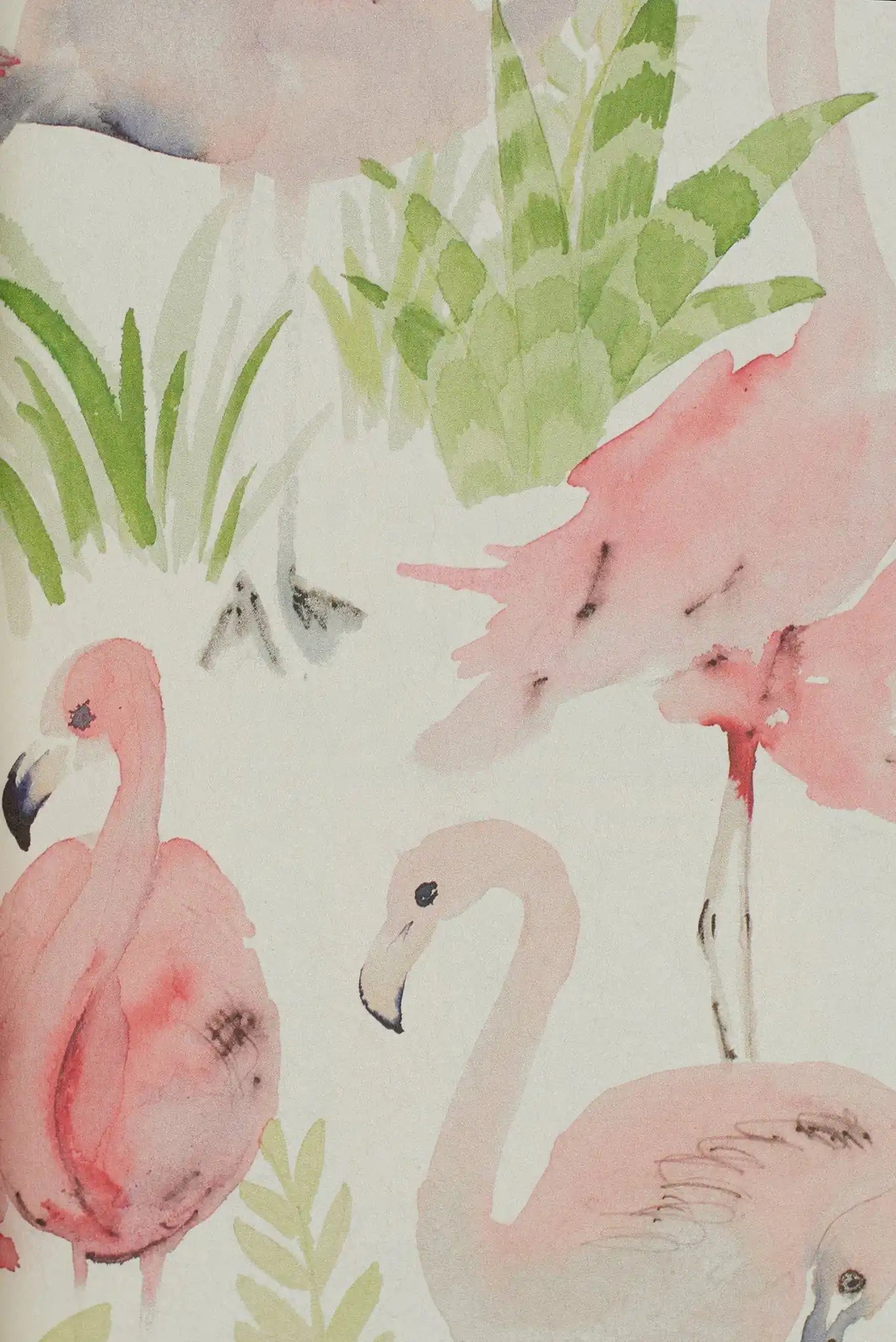 les flamants roses unico