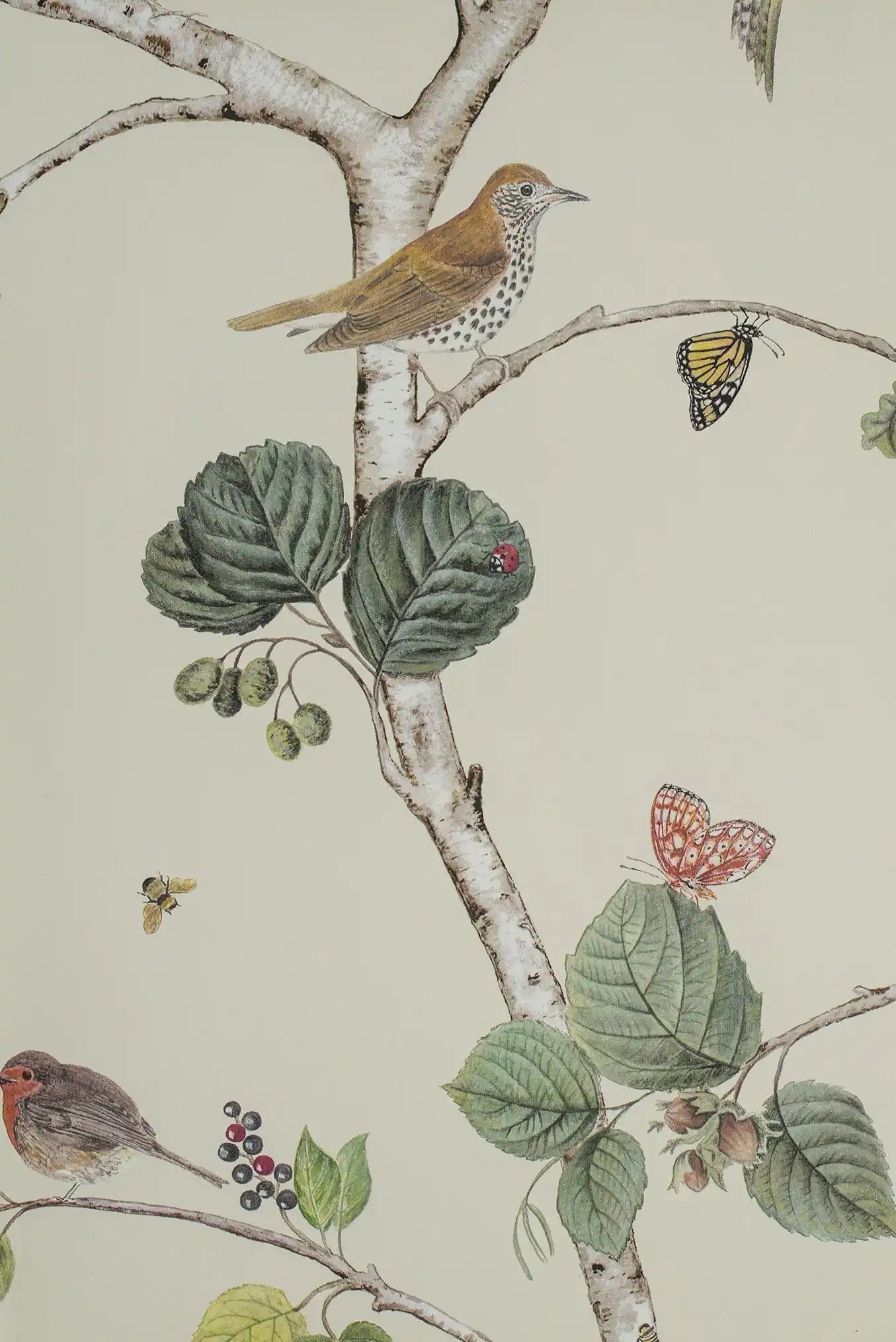 woodland chorus beige