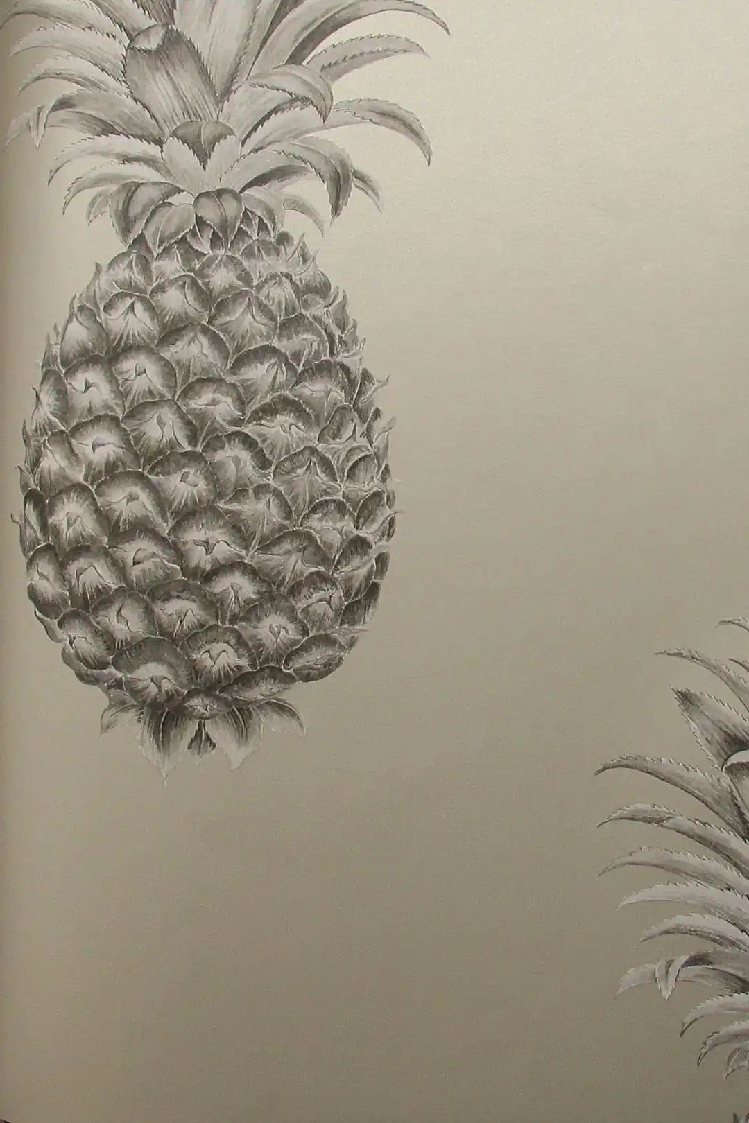 pineapple royal charcoal/champagne