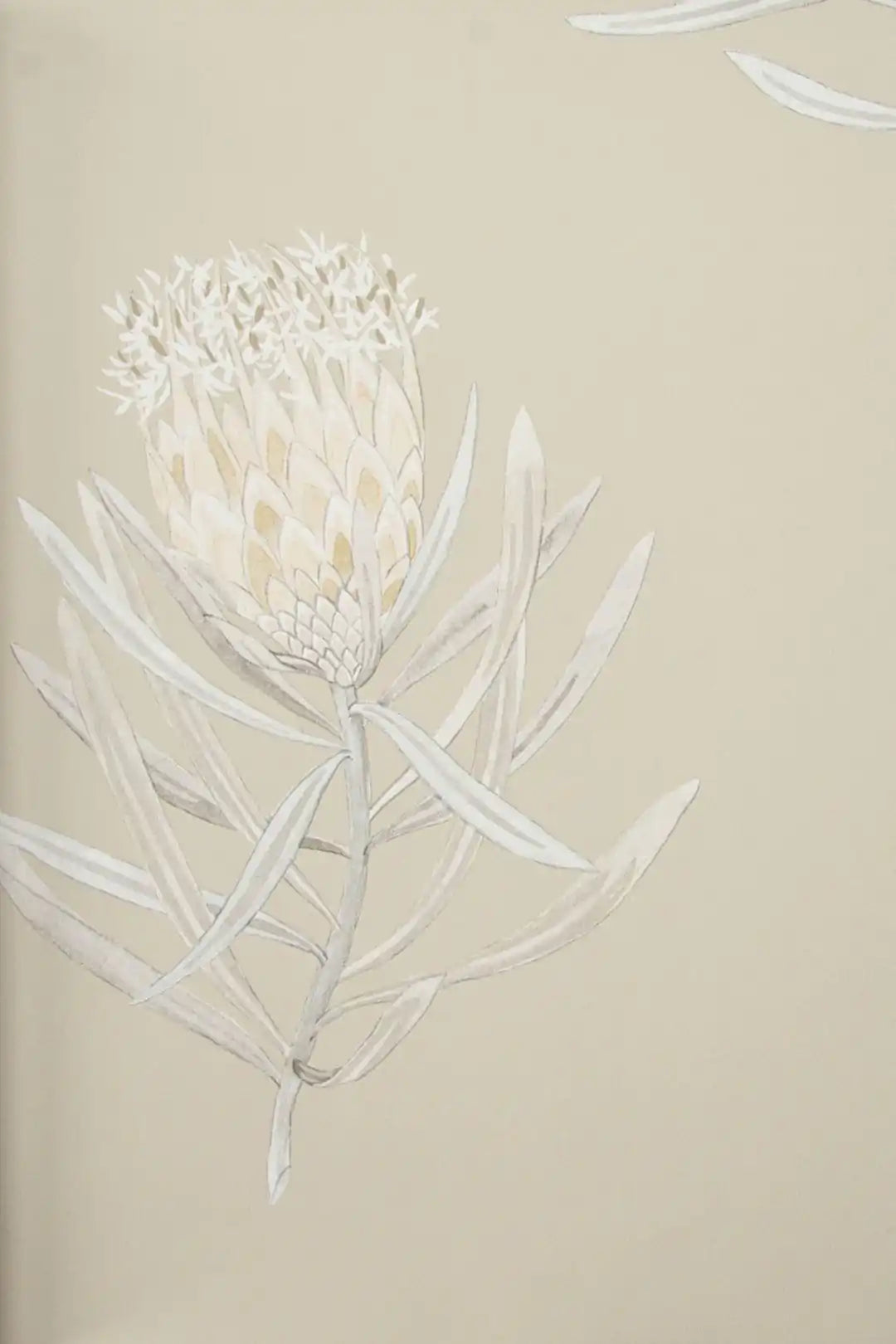 protea flower sepia/champagne