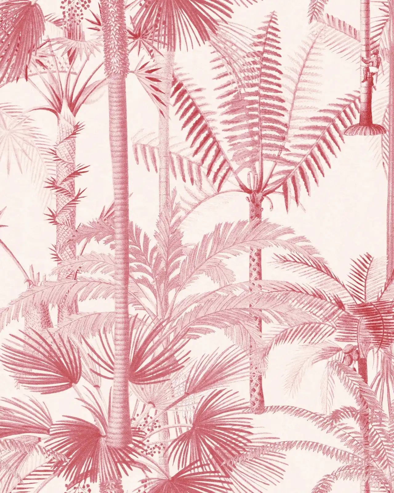 Palmera Cubana