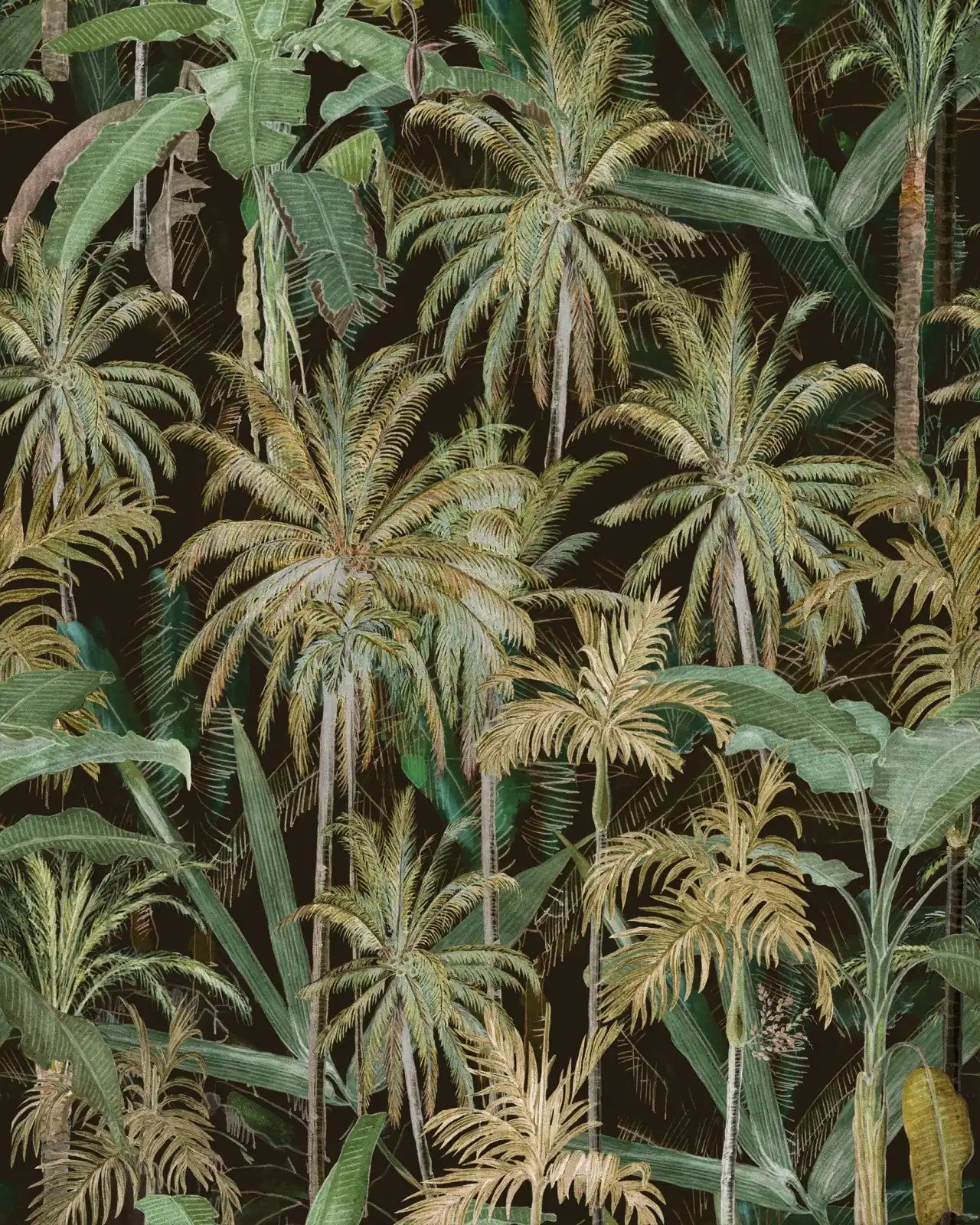 Carta da Parati The Jungle
