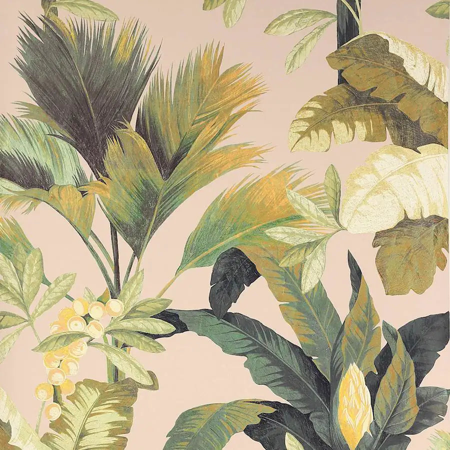 Manuel Canovas