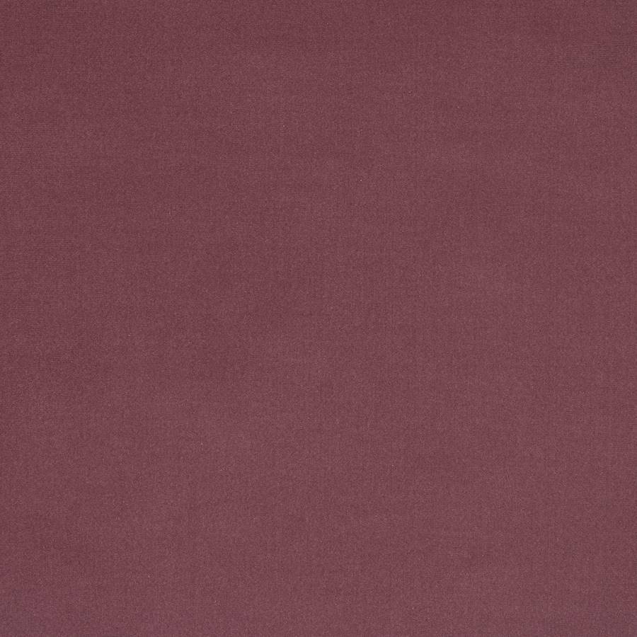 Rivoli Manuel Canovas Glycine