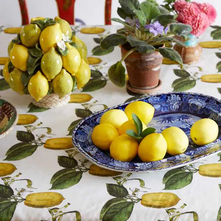 Schumacher Tessuti Le Citron Deco Interni