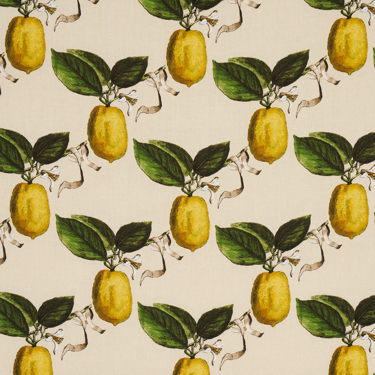 Le Citron