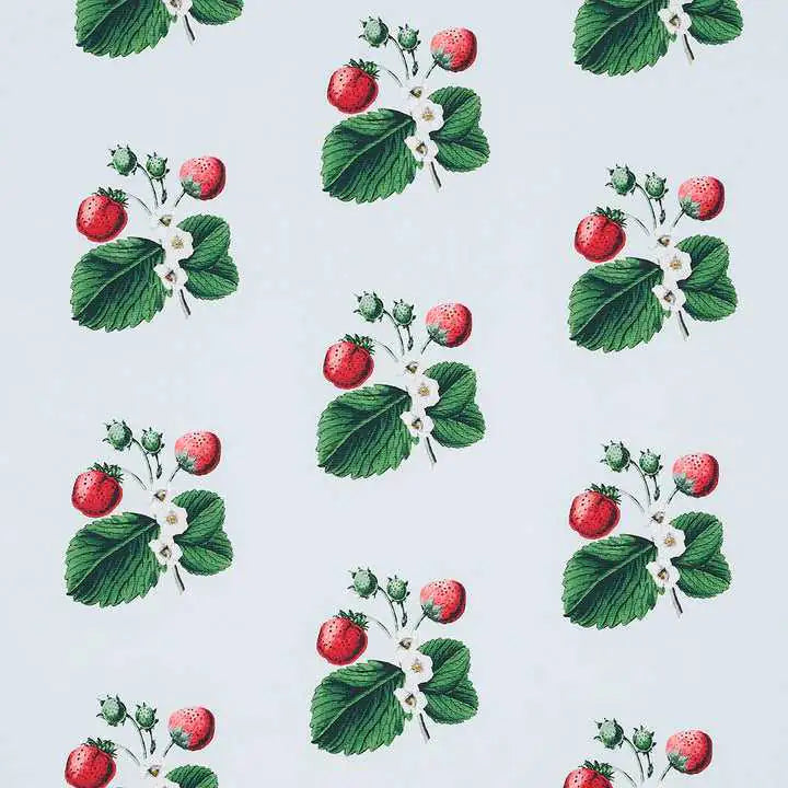 Schumacher Samples Strawberry Hill Deco Interni