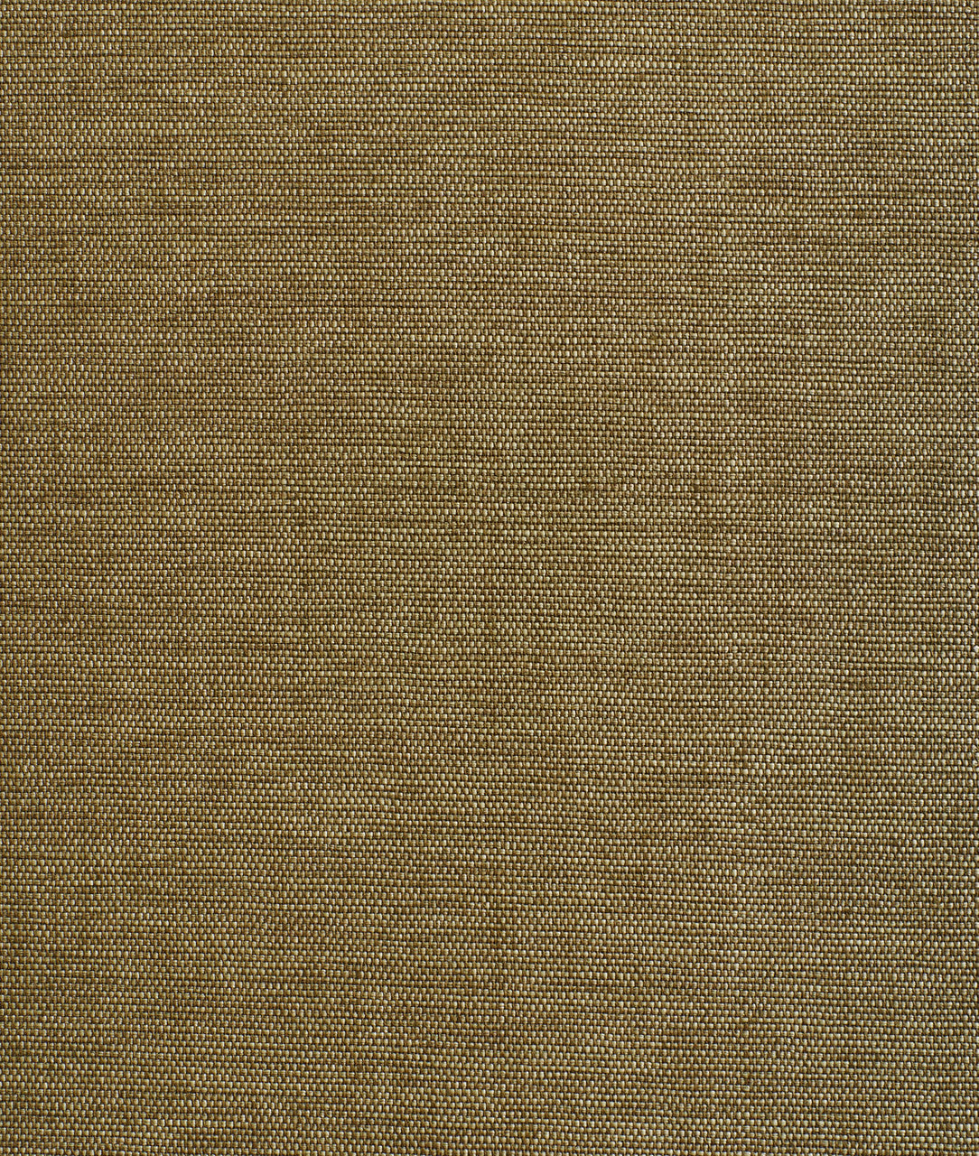 Carta da parati Didgeridoo Wall Giunco Dedar