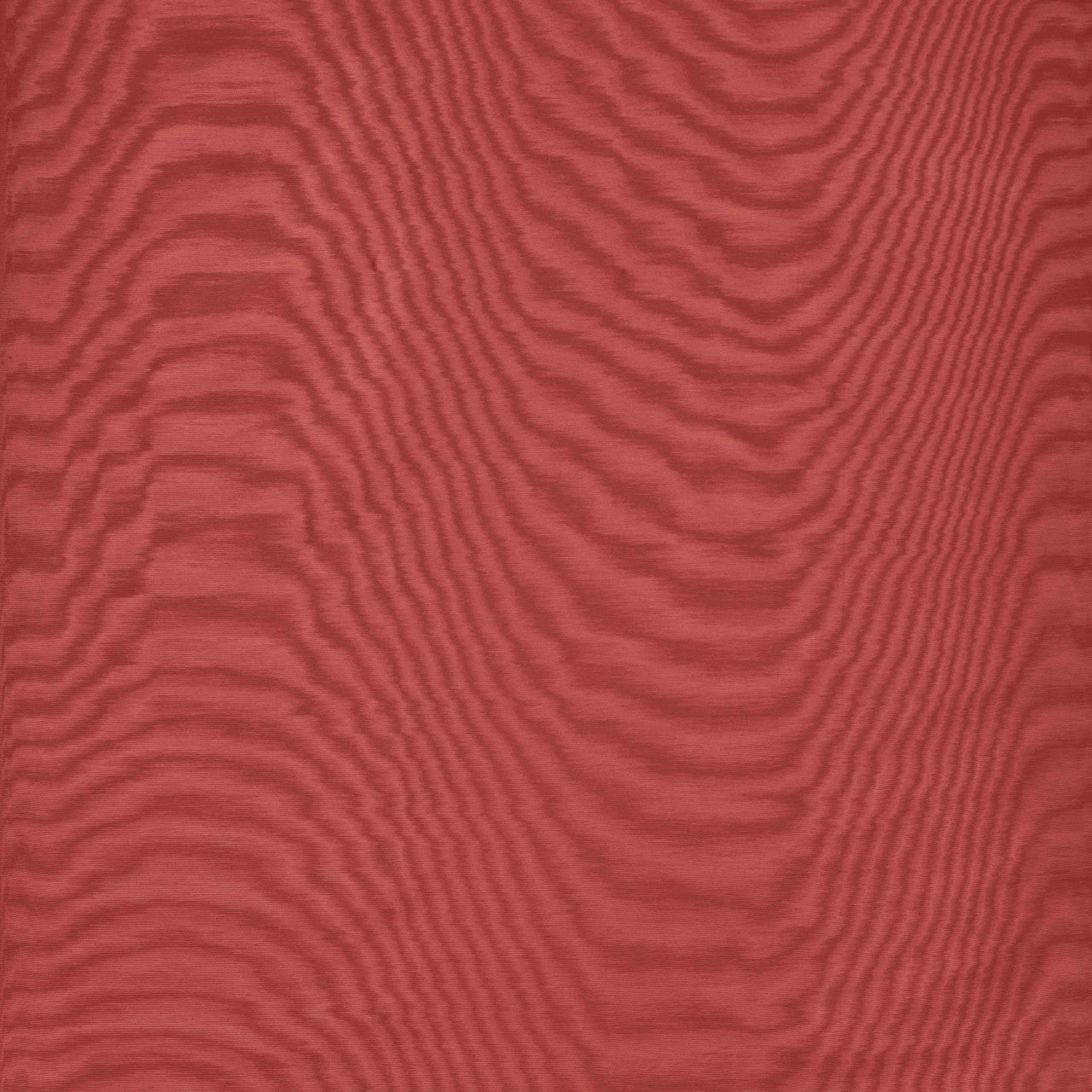 Carta da parati Amoir Fou Wall Corallo Dedar