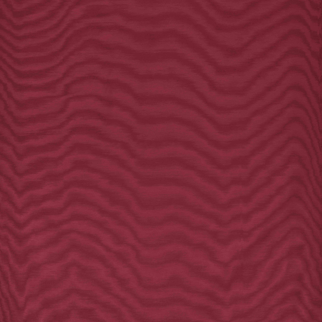 Carta da parati Amoir Fou Wall Diva Dedar