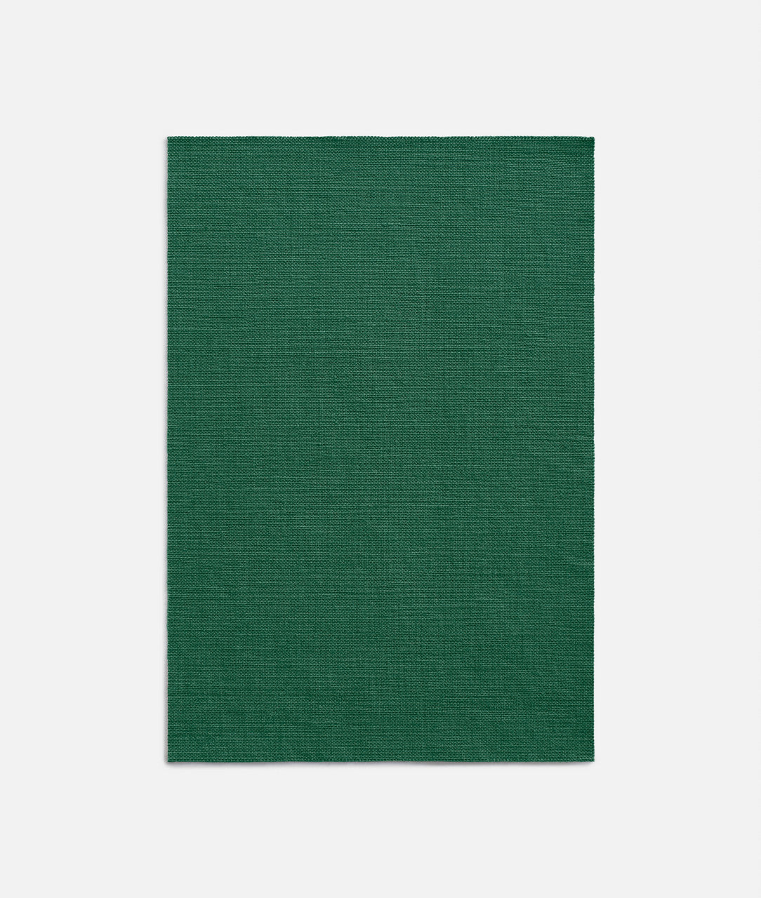 Salicornia Dedar col. 006