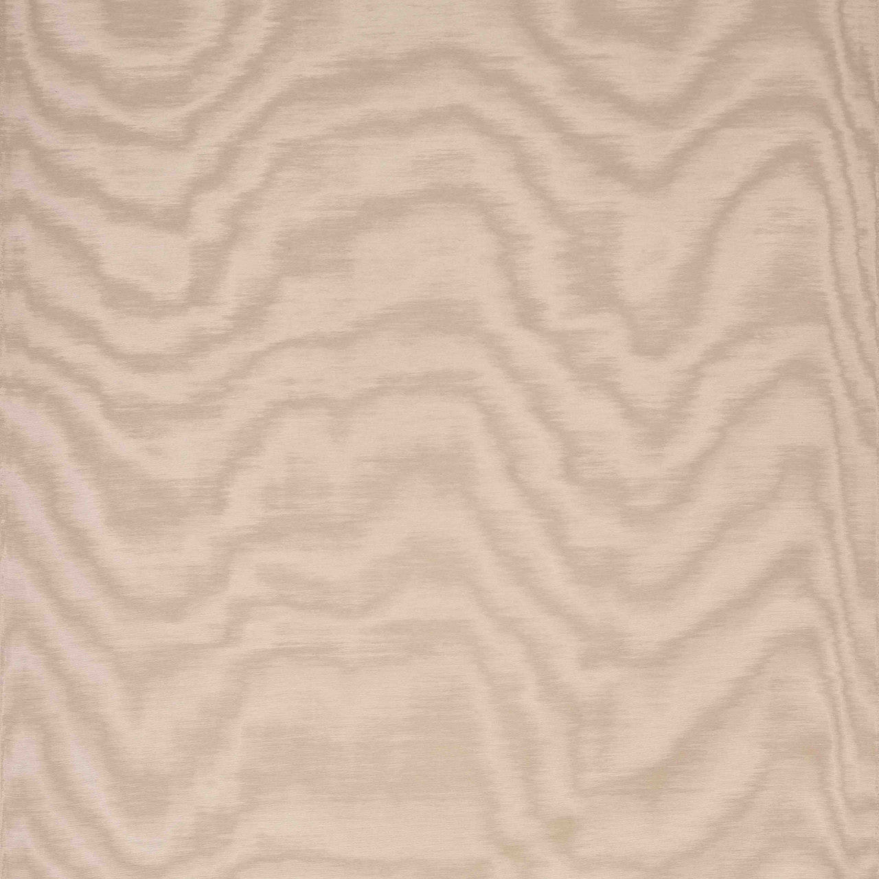 Carta da parati Amoir Fou Wall Poudre Dedar