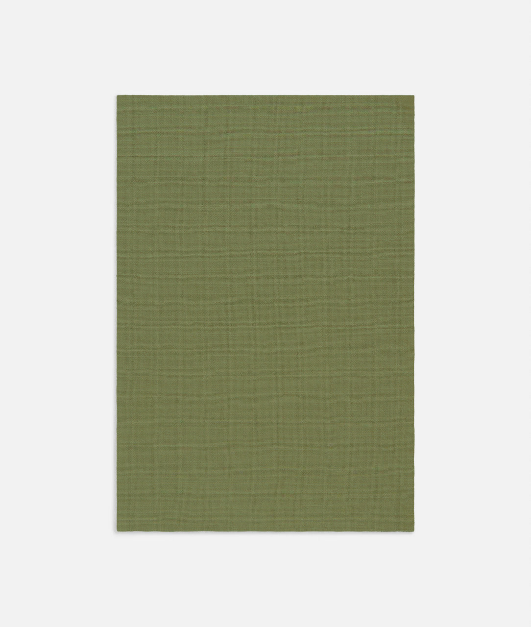 Salicornia Dedar col. 029