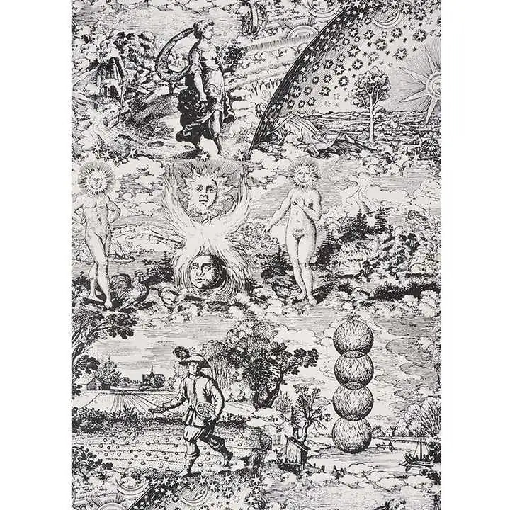 Schumacher Carta da Parati Modern Toile Deco Interni