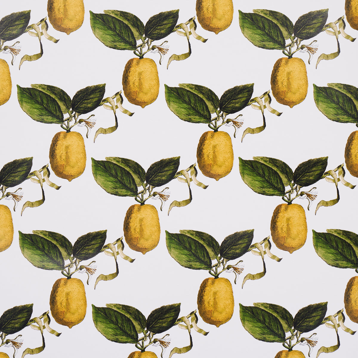 Le Citron