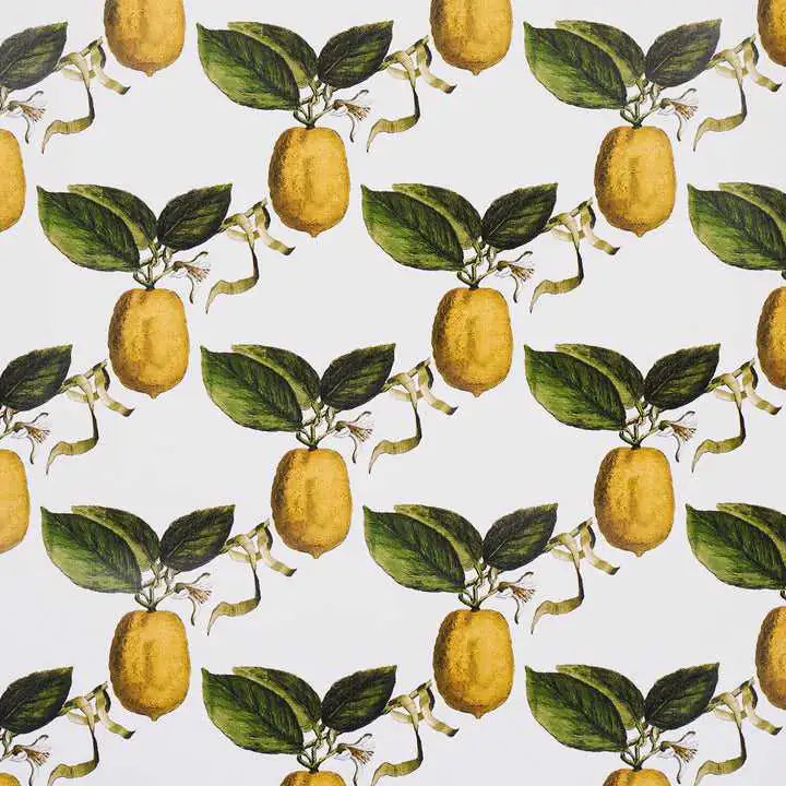 Schumacher Tessuti Le Citron Deco Interni