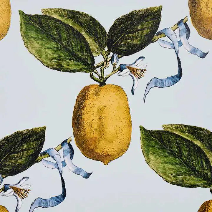 Schumacher Tessuti Le Citron Deco Interni