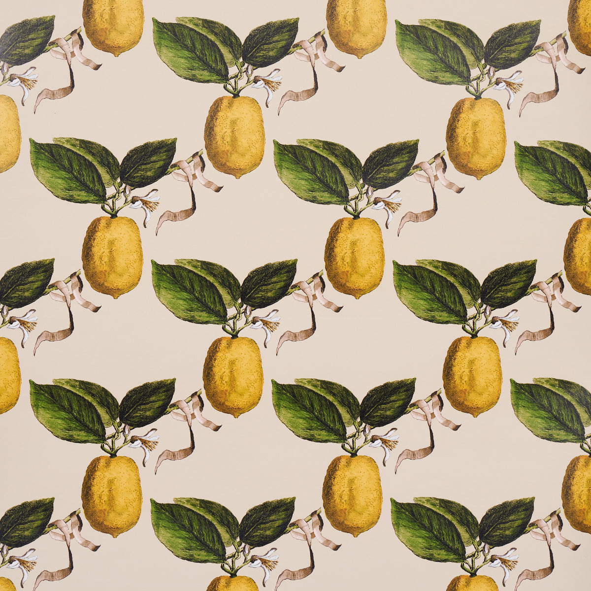 Le Citron