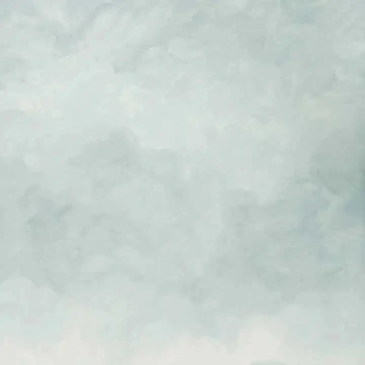 Schumacher Carta da Parati Painted Sky Deco Interni