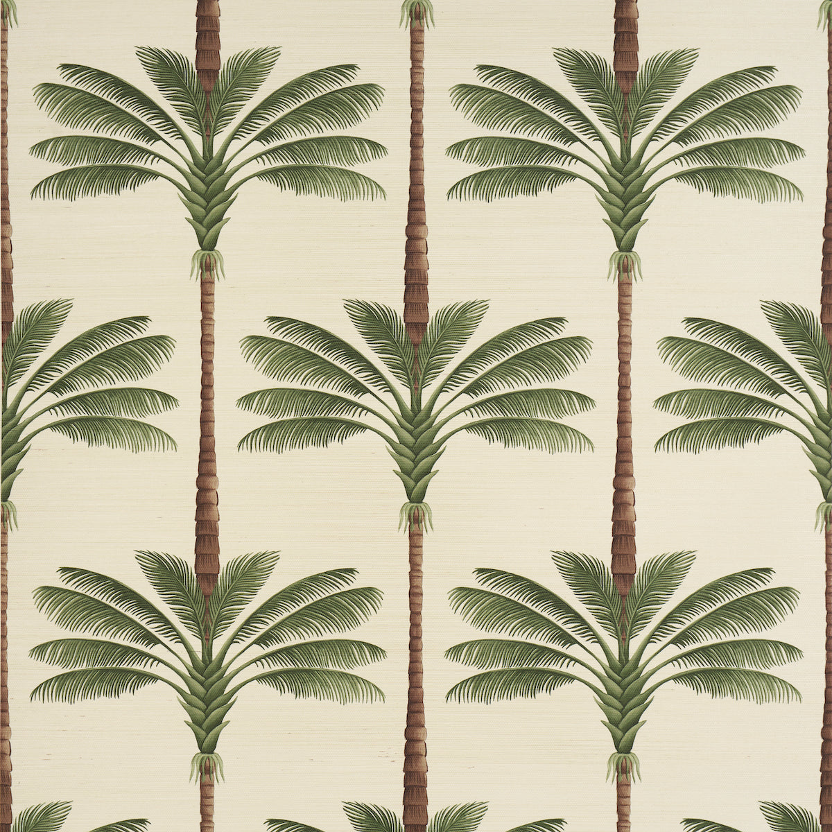 A Palm is a Palm Sisal by Johanna Ortiz