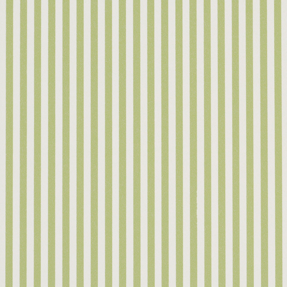 Emma Stripe Narrow