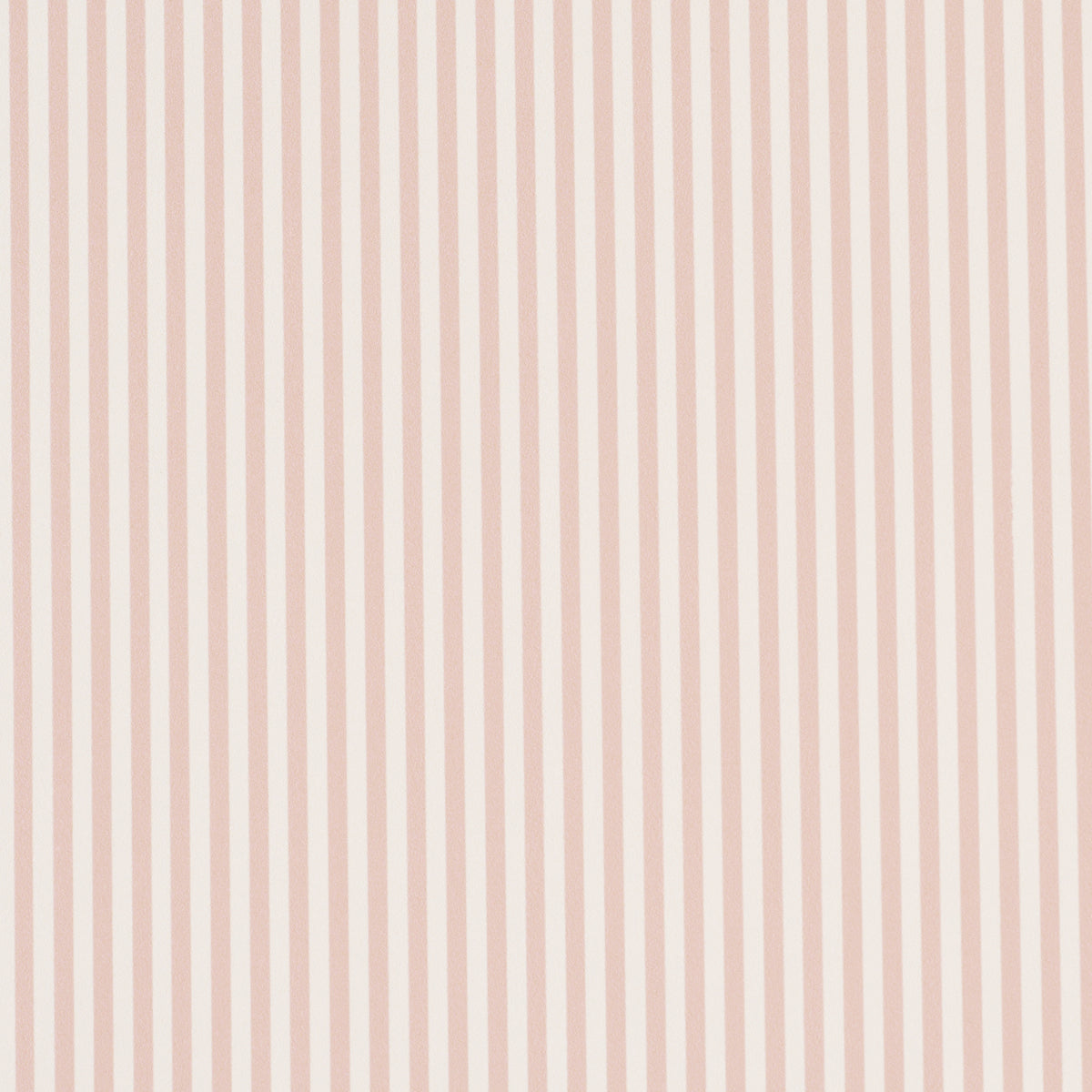 Emma Stripe Narrow