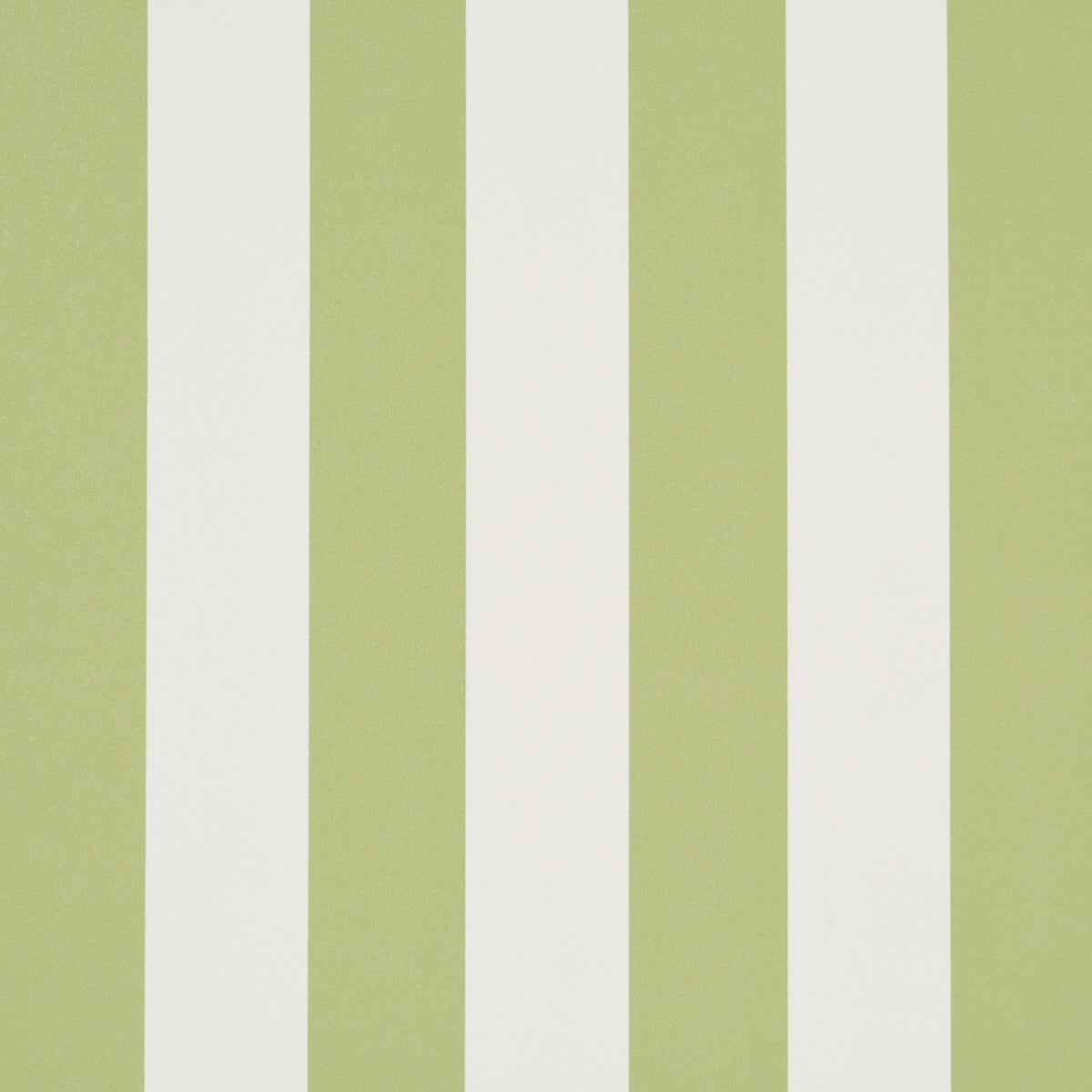 Emma Stripe