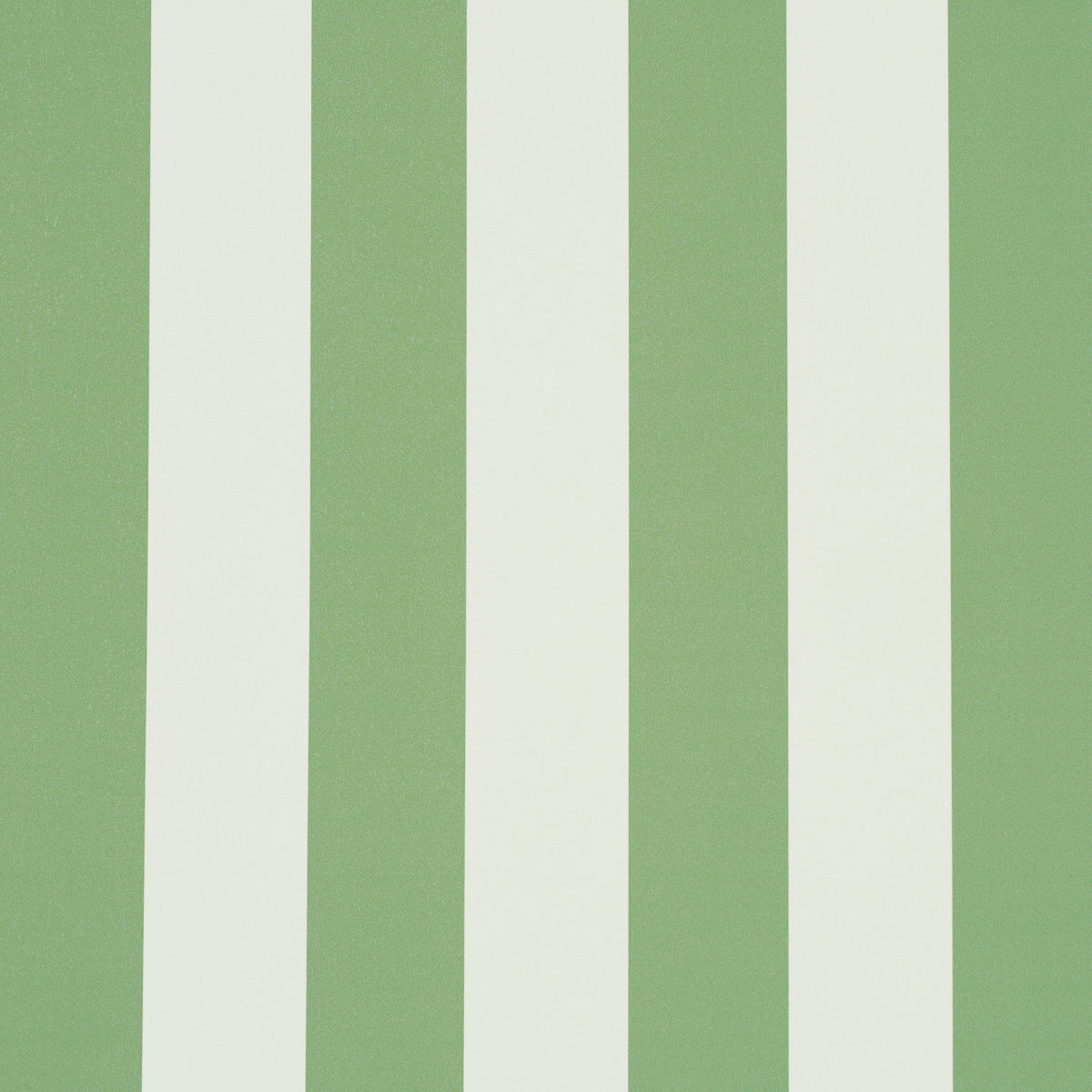 Emma Stripe