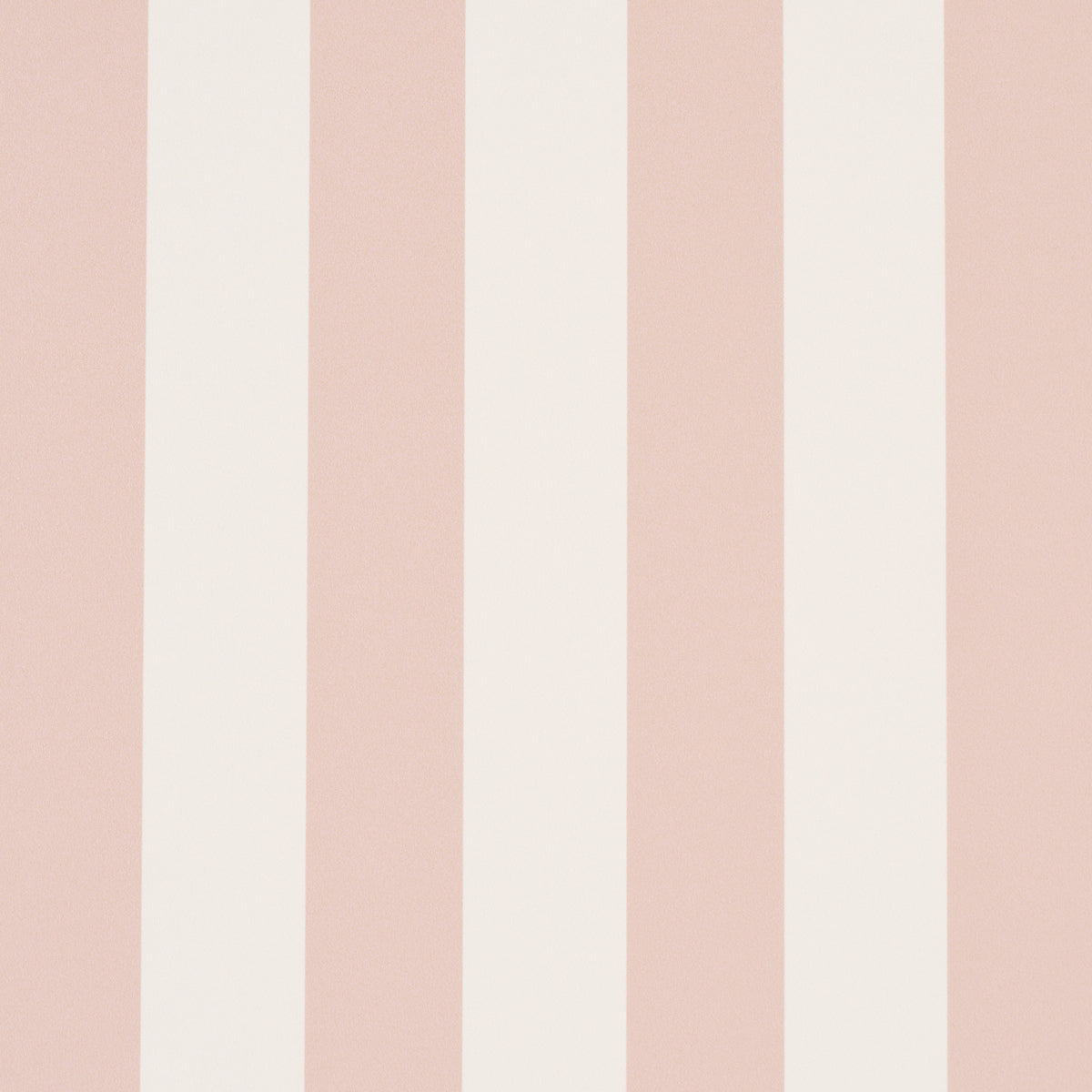Emma Stripe